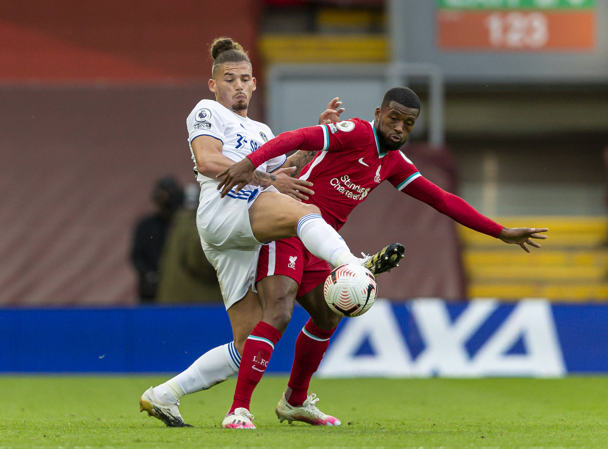 的新生力量 的新生力量